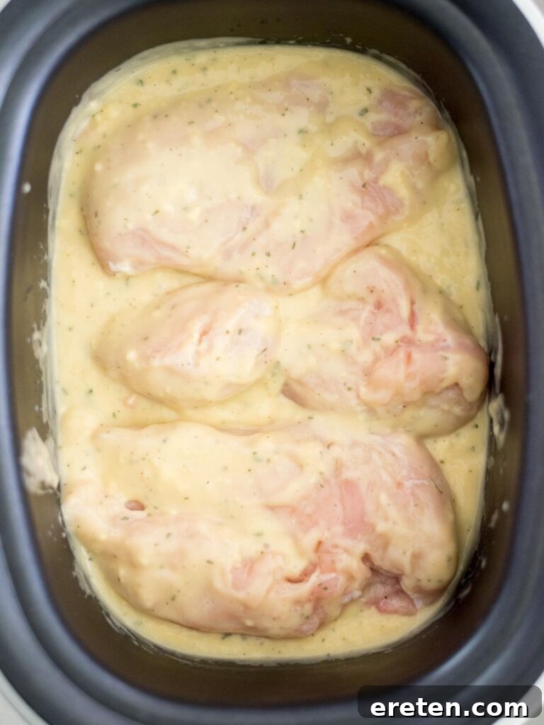Creamy Ranch Slow Cooker Chicken 6 Boneless, skinless chicken breasts carefully added into the creamy ranch sauce in the crockpot, ready for cooking.