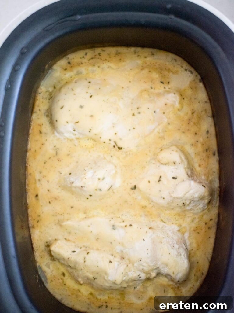 Creamy Ranch Slow Cooker Chicken 7 Perfectly cooked and tender ranch chicken, submerged in its creamy sauce, resting in the crockpot after several hours of slow cooking.