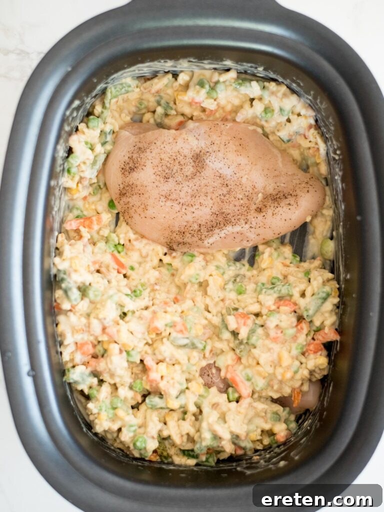 Boneless, skinless chicken breasts being carefully placed into the stuffing mixture in the crockpot.